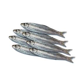 ЦАЦА "Морски Дар" 500г